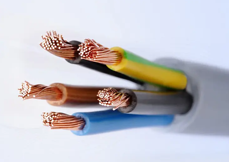https://img2.danews.cc/upload/ajax/20251204/915294b189cc647537f5e786c08a1bac.png